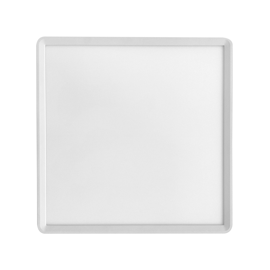 LED Mennyezeti lámpa TERY LED/32W/230V 3000/4000/6000K 40x40 cm IP40 fehér