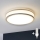 Eglo 31025 - PALERMO LED fürdőszobai mennyezeti lámpa 1xE14/40W/230V IP44