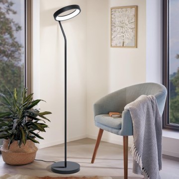 Eglo 32327 - LED RGBW dimmelhető állólámpa MARGHERA-C LED/15,5W/230V 2700-6500K fekete