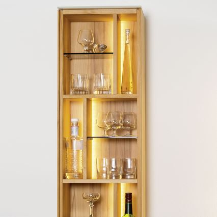 Eglo - LED RGB szalag 5m STRIPE-C LED/19W/230V