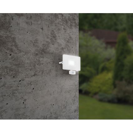 Eglo - LED reflektor érzékelős LED/50W/230V IP44