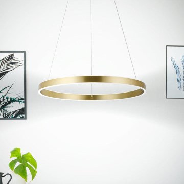 Eglo 33484 - ALCAZABA LED csillár kábelen 2xLED/18W/230V 3000K átm. 55 cm arany