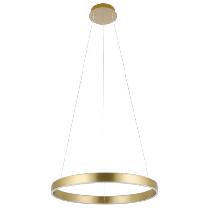 Eglo 33484 - ALCAZABA LED csillár kábelen 2xLED/18W/230V 3000K átm. 55 cm arany