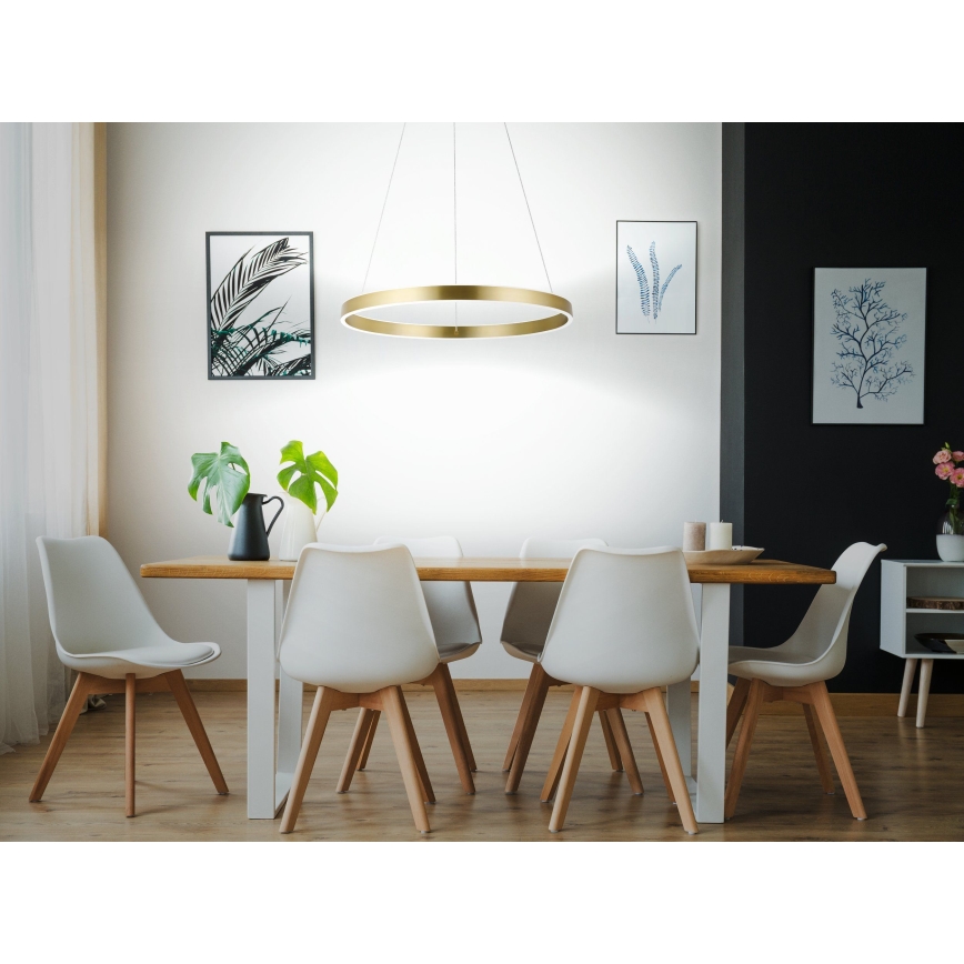 Eglo 33484 - ALCAZABA LED csillár kábelen 2xLED/18W/230V 3000K átm. 55 cm arany