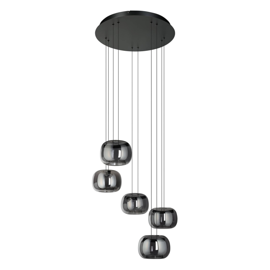 Eglo - LED dimmelhető kábeles csillár 5xLED/5,8W/230V fekete/füstszínű