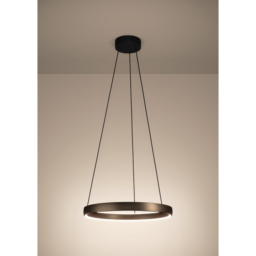 Eglo - LED fényerőszabályozható kábeles függeszték mozgásérzékelővel 2xLED/19W/230V 2200-6500K átm. 55 cm barna