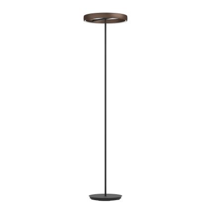 Eglo - LED fényerőszabályozható állólámpa mozgásérzékelővel 2xLED/19W/230V 2200-6500K barna