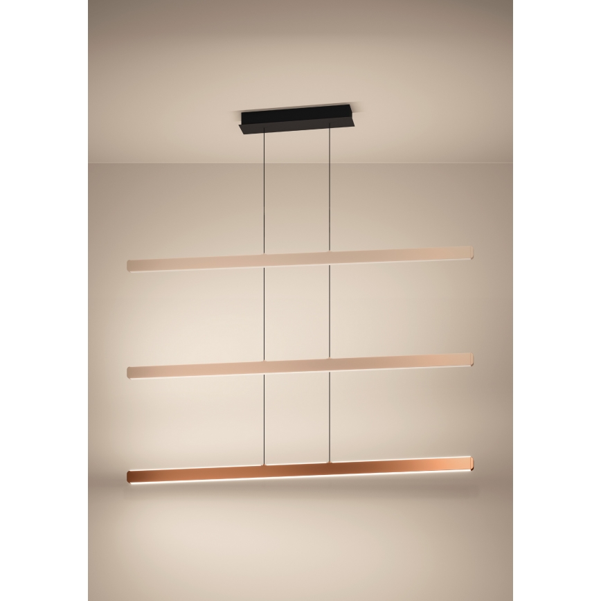 Eglo - LED dimmelhető kábeles csillár LED/30W/230V 2200-6500K aranyszínű + távirányítóval