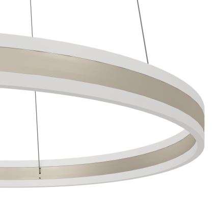 Eglo - LED Szabályozható csillár zsinóron LED/78W/230V