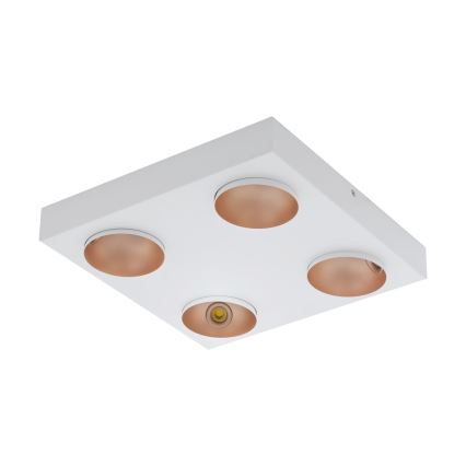 Eglo - LED Dimmelhető mennyezeti lámpa 4xLED/3,3W/230V
