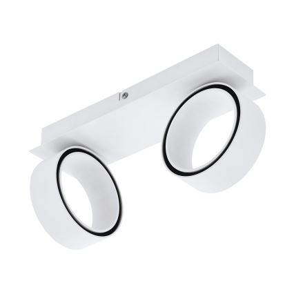 Eglo - LED Spotlámpa 2xLED/4,6W/230V 3000K