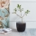 Eglo 421392 - CULASI üvegváza 35,5 x 24,5 cm fekete/füstszínű