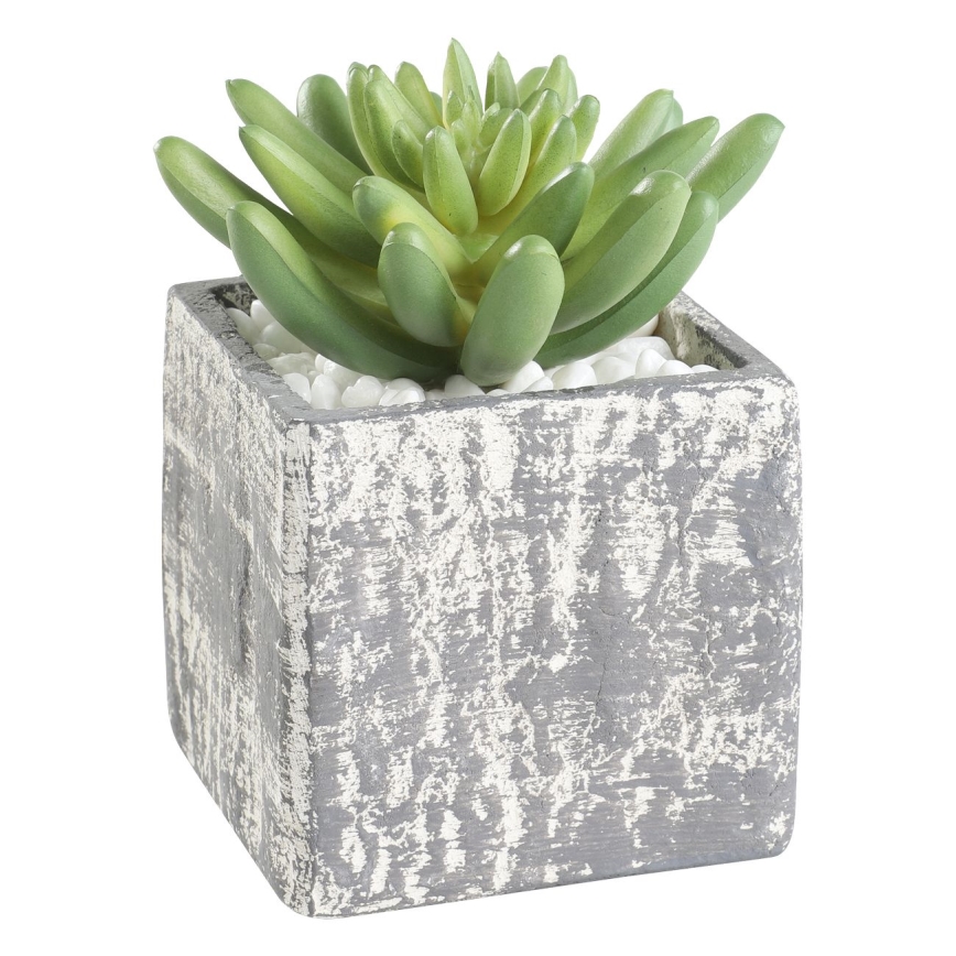 Eglo - Műnövény cserépben 12x7,5 cm szukkulens