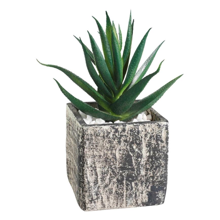 Eglo - Műnövény cserépben 13x9,5 cm szukkulens