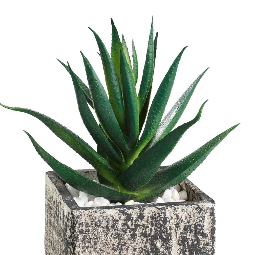 Eglo - Műnövény cserépben 13x9,5 cm szukkulens