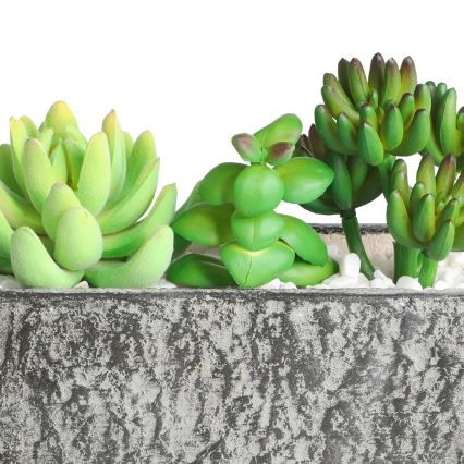 Eglo - Műnövény cserépben 14,5x17,8 cm szukkulens