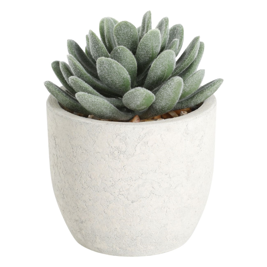 Eglo - Műnövény cserépben, 11x8 cm, pozsgás növény