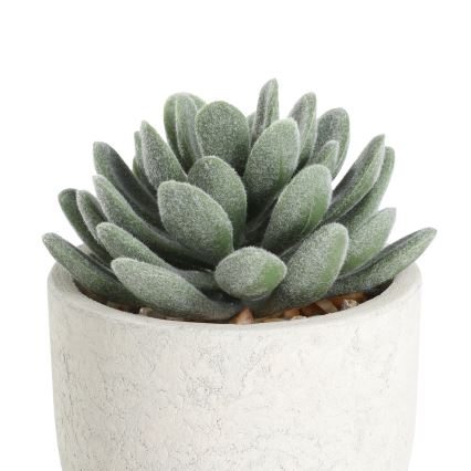 Eglo - Műnövény cserépben, 11x8 cm, pozsgás növény