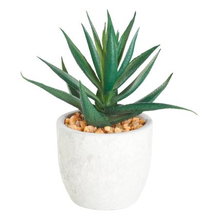 Eglo - Műnövény cserépben 15,5x10 cm szukkulens