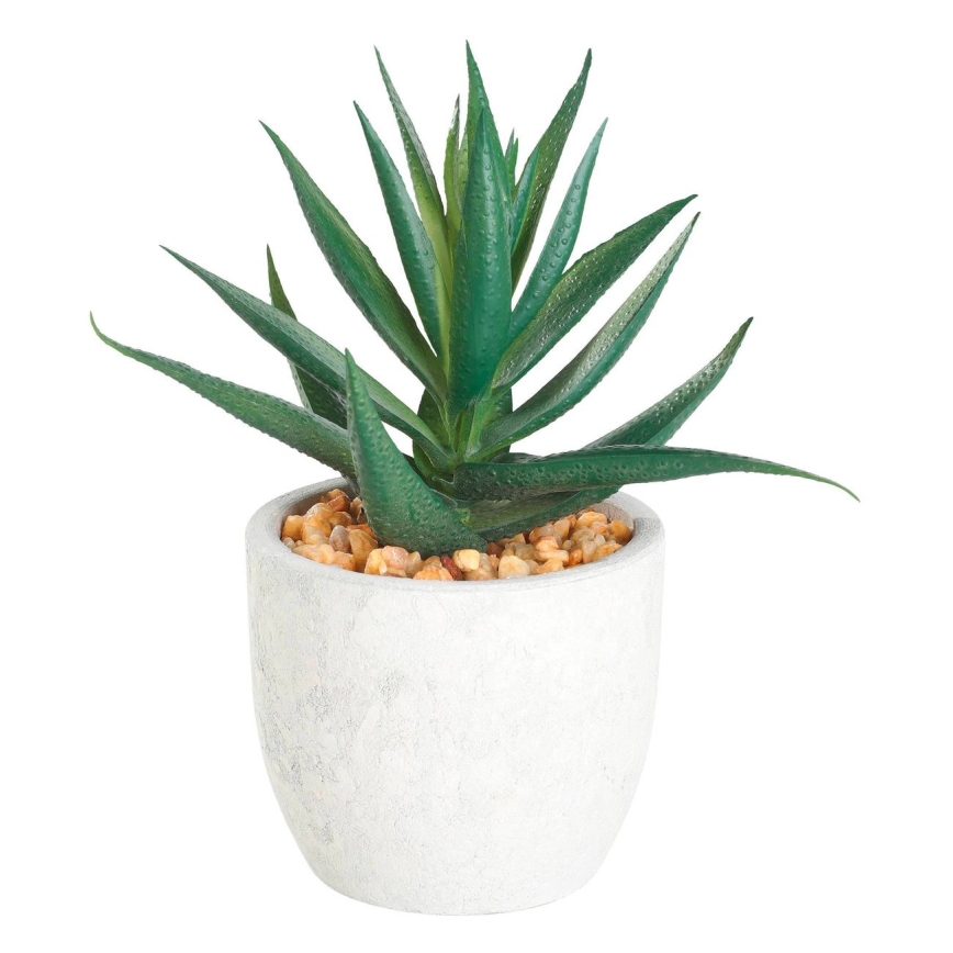 Eglo - Műnövény cserépben 15,5x10 cm szukkulens