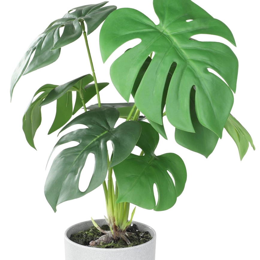 Eglo - Műnövény cserépben 42x30 cm monstera