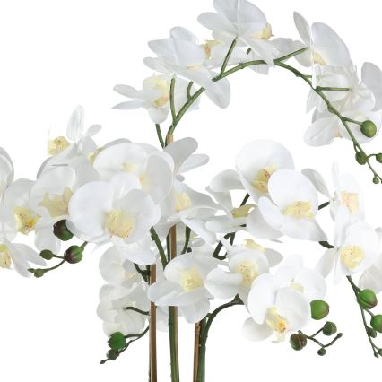 Eglo - Műnövény cserépben 65x50 cm orchidea