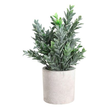 Eglo - Műnövény cserépben 22x16 cm