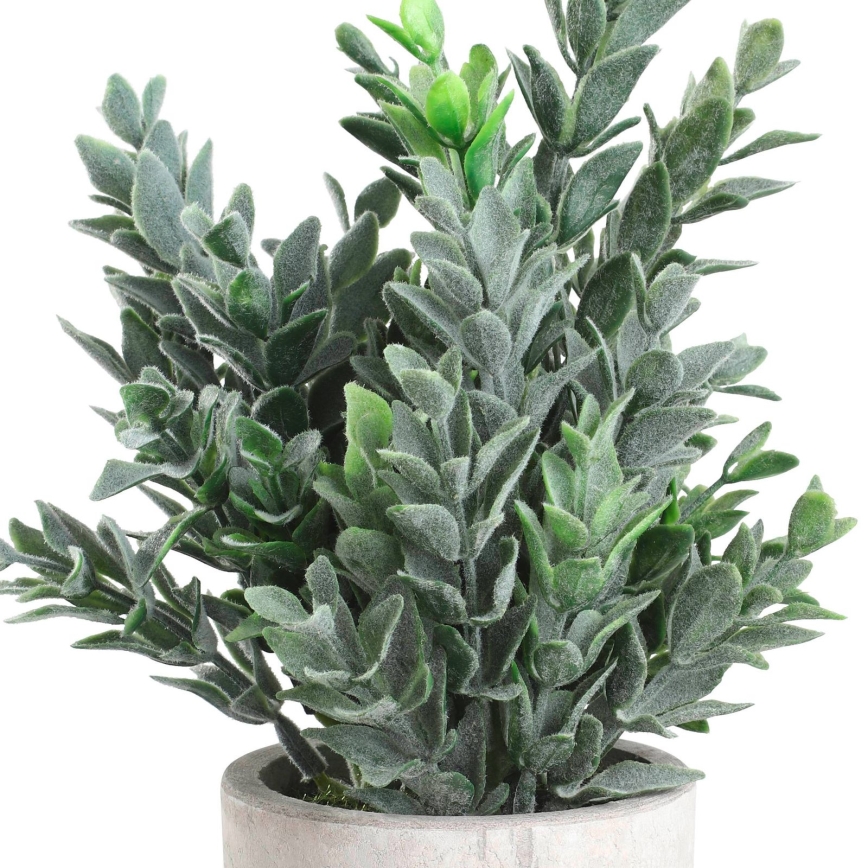 Eglo - Műnövény cserépben 22x16 cm