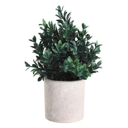 Eglo - Műnövény cserépben 23x18 cm