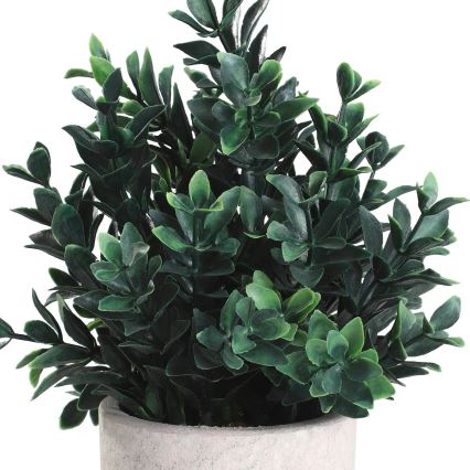 Eglo - Műnövény cserépben 23x18 cm