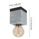 Eglo - Mennyezeti lámpa 1xE27/40W/230V