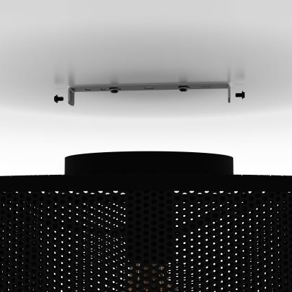 Eglo - Mennyezeti lámpa 1xE27/40W/230V