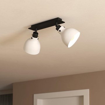 Eglo 43828 - Spotlámpa MATLOCK 2xE27/40W/230V