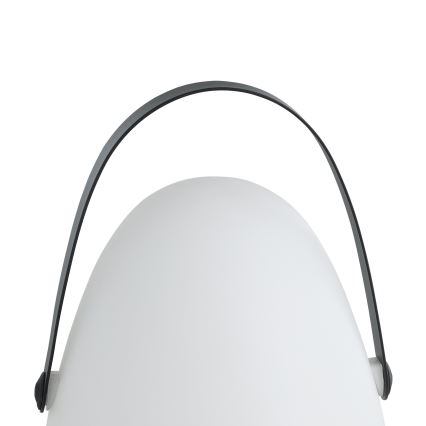 Eglo 48841 - LED Kültéri asztali lámpa COLLIRADOS LED/3xAA IP44