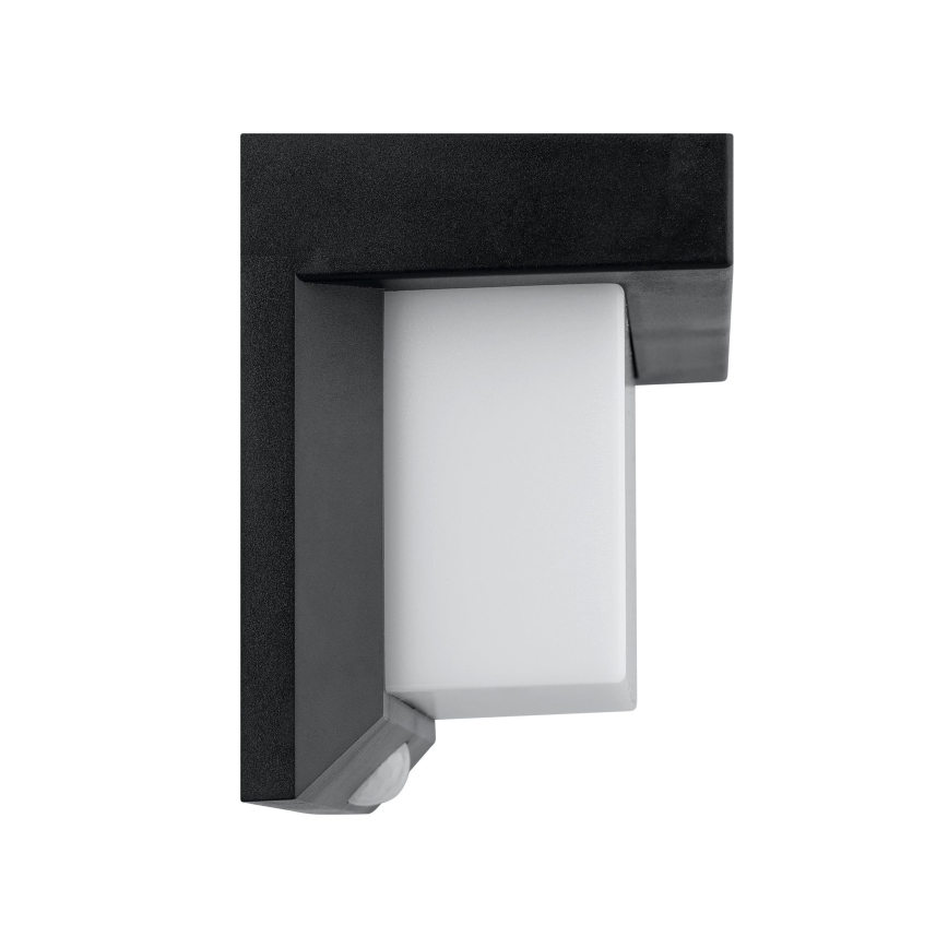 Eglo - LED Napelemes érzékelős fali lámpa LED/3,84W/3,7V 2000 mAh IP44