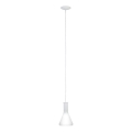 Eglo 62264 - PASCOA PRO kábeles függeszték 1xE27/60W/230V 16,8 cm fehér