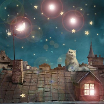 Eglo 75038 - LED világító dekorációs kép CAT 4xLED/0,02W