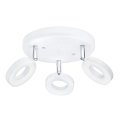 Eglo 75203 - LED spotlámpa ODERZO 3xLED/3,8W/230V