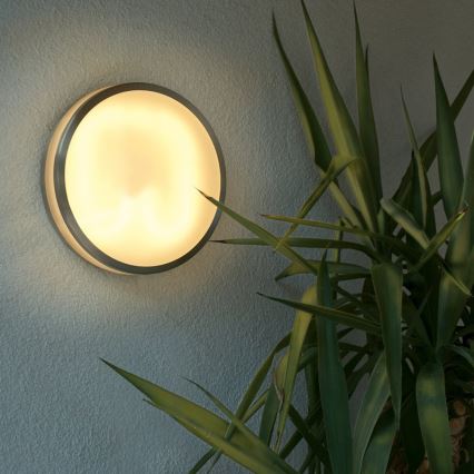 EGLO 89334 - ZIDO fürdőszobai fali lámpa1x2D/28W