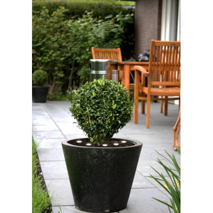 Eglo - LED kültéri dekorációs lánc SPINETOLI 6xLED IP65