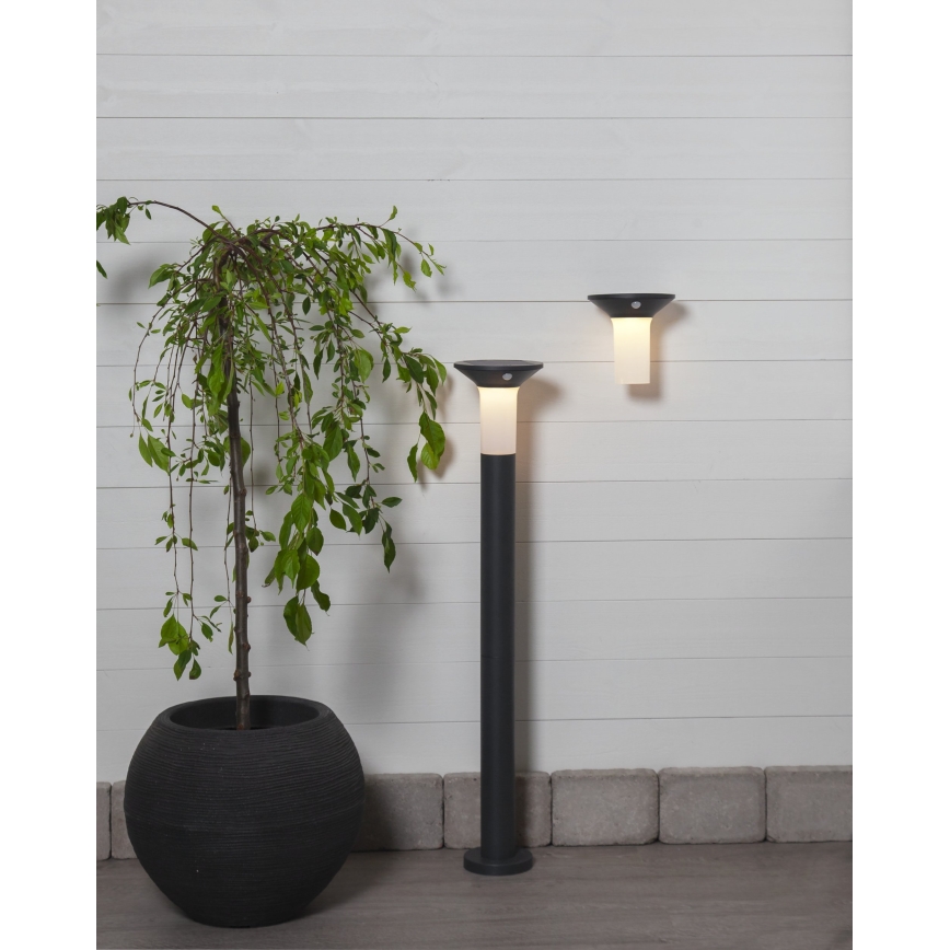 Eglo - LED napelemes kültéri lámpa érzékelővel 6xLED/0,03W/3,7V 1500 mAh IP44