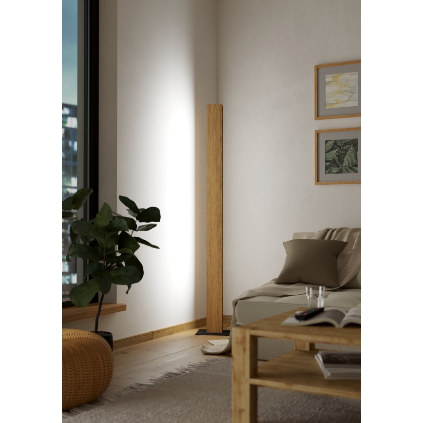 Eglo - LED RGBW Dimmelhető állólámpa LED/35W/230V 2700-6500K