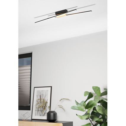 Eglo - LED Dimmelhető mennyezeti lámpa 2xLED/13W/230V