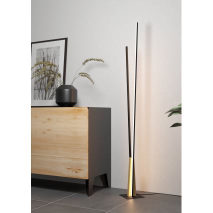 Eglo - LED Állólámpa LED/24W/230V