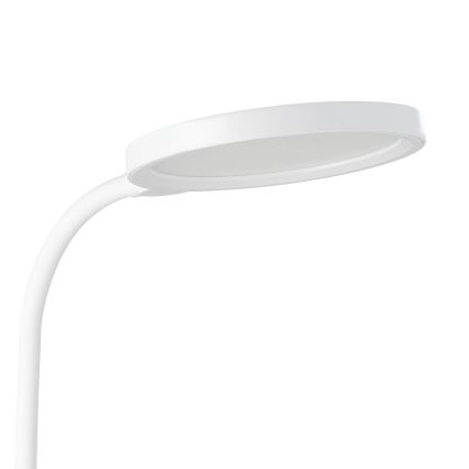 Eglo - LED Dimmelhető asztali lámpa LED/2,1W/5V 1500 mAh fehér