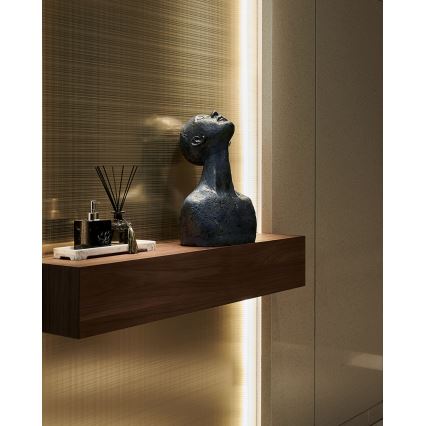 Eglo - LED dimmelhető szalag 2m LED/13,2W/24/230V 2700-6500K + távirányító