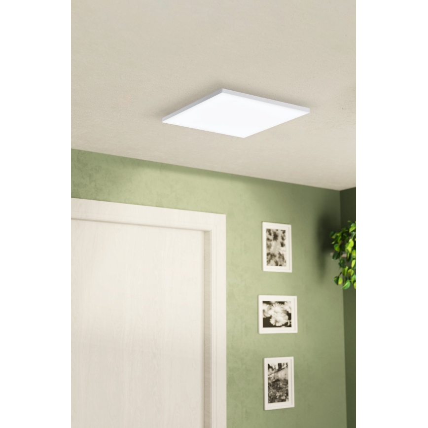 Eglo - LED Mennyezeti lámpa LED/10,8W/230V