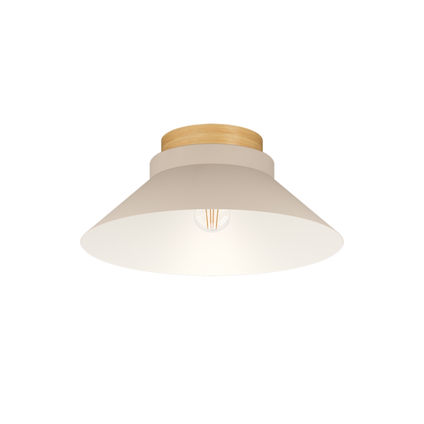 Eglo - Mennyezeti lámpa 1xE27/40W/230V