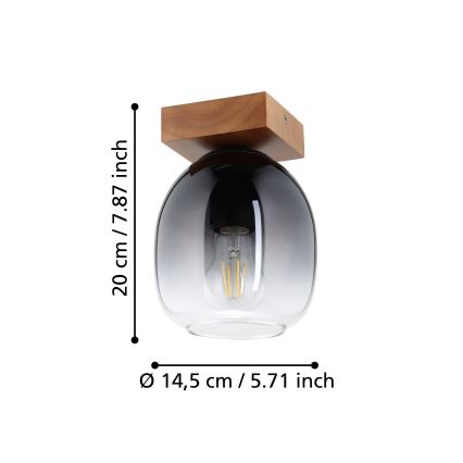 Eglo - Mennyezeti lámpa 1xE27/40W/230V