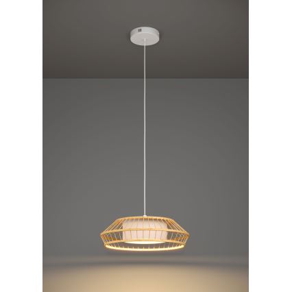 Eglo - LED RGBW Dimmelhető csillár zsinóron LED/22W/230V 2700-6500K